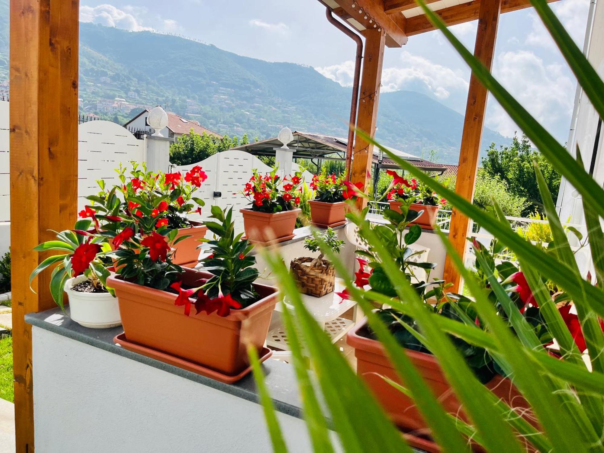 Agerola Dreams Apartment Luaran gambar